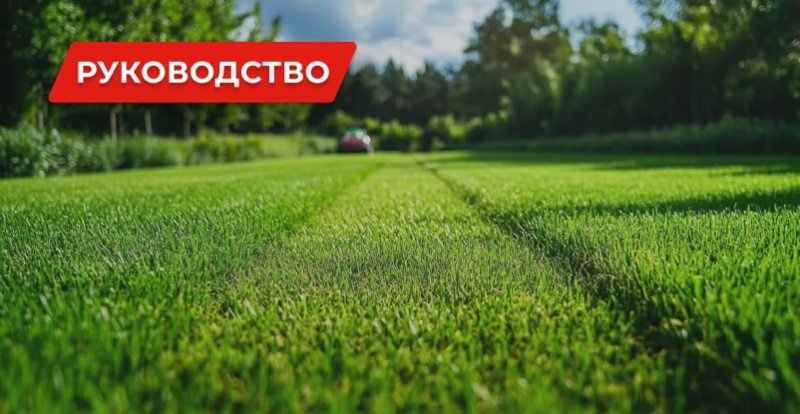 Аккумуляторная газонокосилка: как выбрать идеальный вариант