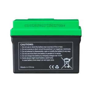 Аккумулятор FUBAG li-ion 3Ah для инверторного генератора TI 11000 A ES (арт. 646211) купить в Грозном