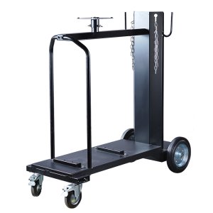 FUBAG Инвертор сварочный INTIG 320 T W AC/DC PULSE (31455) с горелкой FB TIG 18 5P 4m (38463), модулем охлаждения и тележкой в Грозном фото
